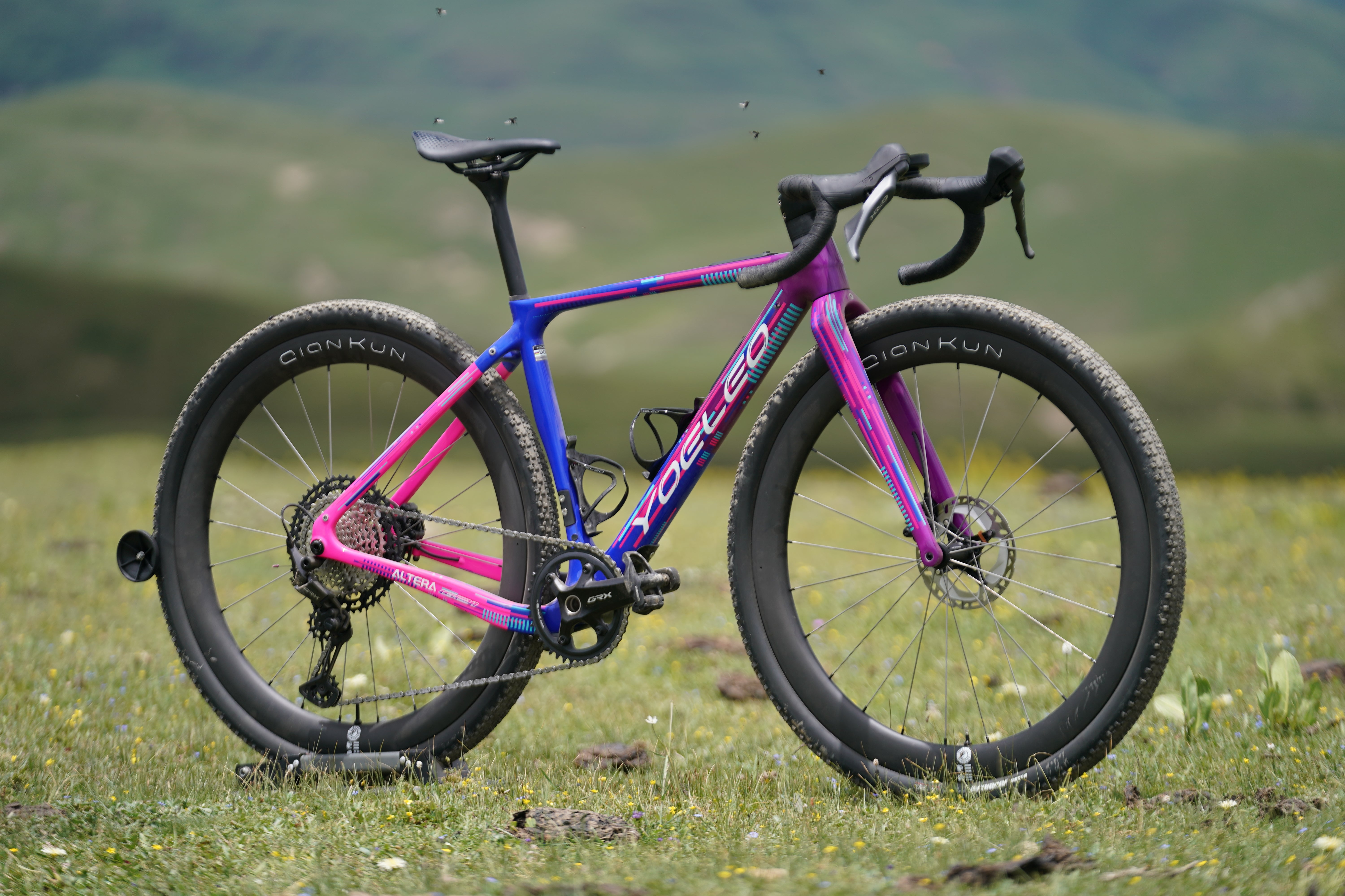Yoeleo Altera G21 DB Gravel Frameset Panda Purple