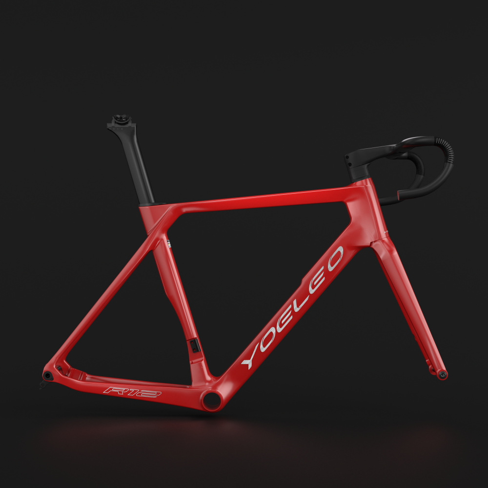 R12 FRAME SET CUSTOM PAINT (CLASSIC) - YOELEO