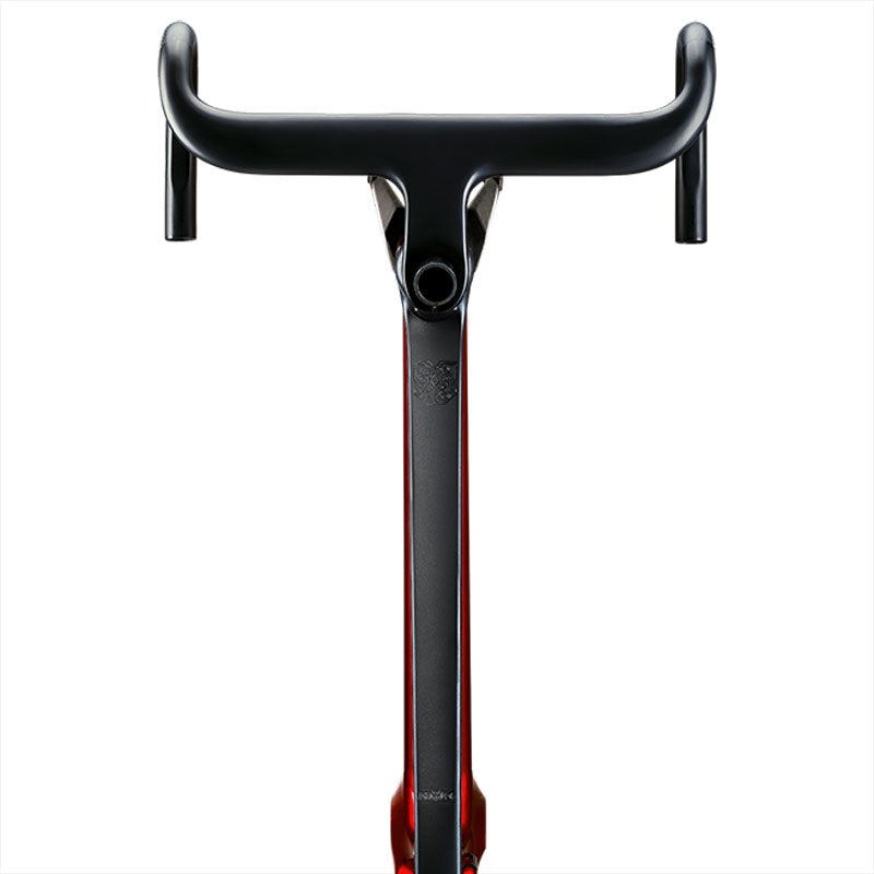 Carbon Disc Brake Bike Frame | R11 Super Light Road Frameset – YOELEO