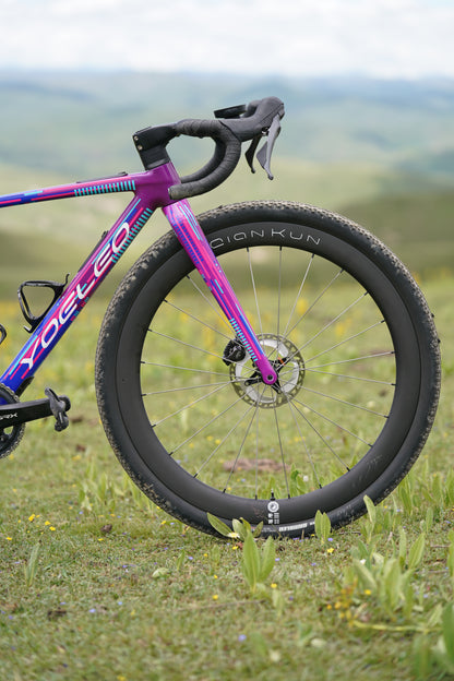 Altera G21 DB Gravel Frameset Panda Purple