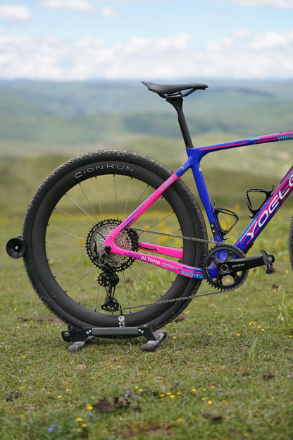 Altera G21 DB Gravel Frameset Panda Purple