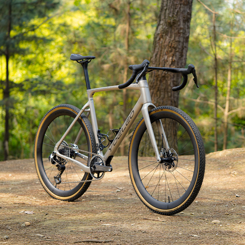 Altera G21 DB Gravel Bike Frameset - YOELEO