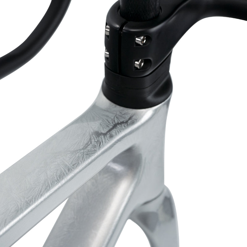 Carbon Disc Brake Bike Frame | R11 Super Light Road Frameset – YOELEO