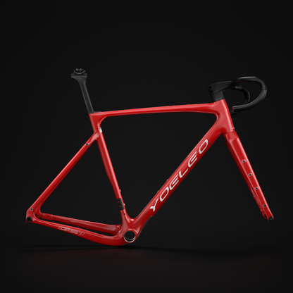 G21 FRAME SET CUSTOM PAINT (CLASSIC) - YOELEO