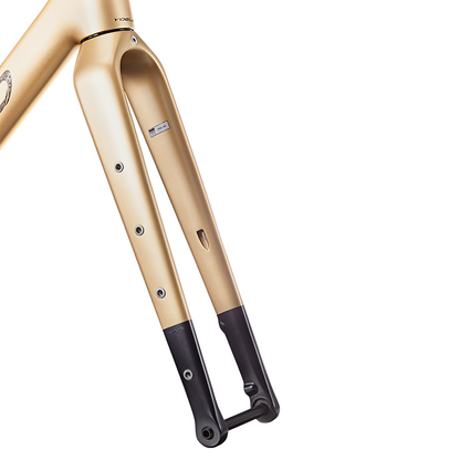 G21 DB Fork - YOELEO