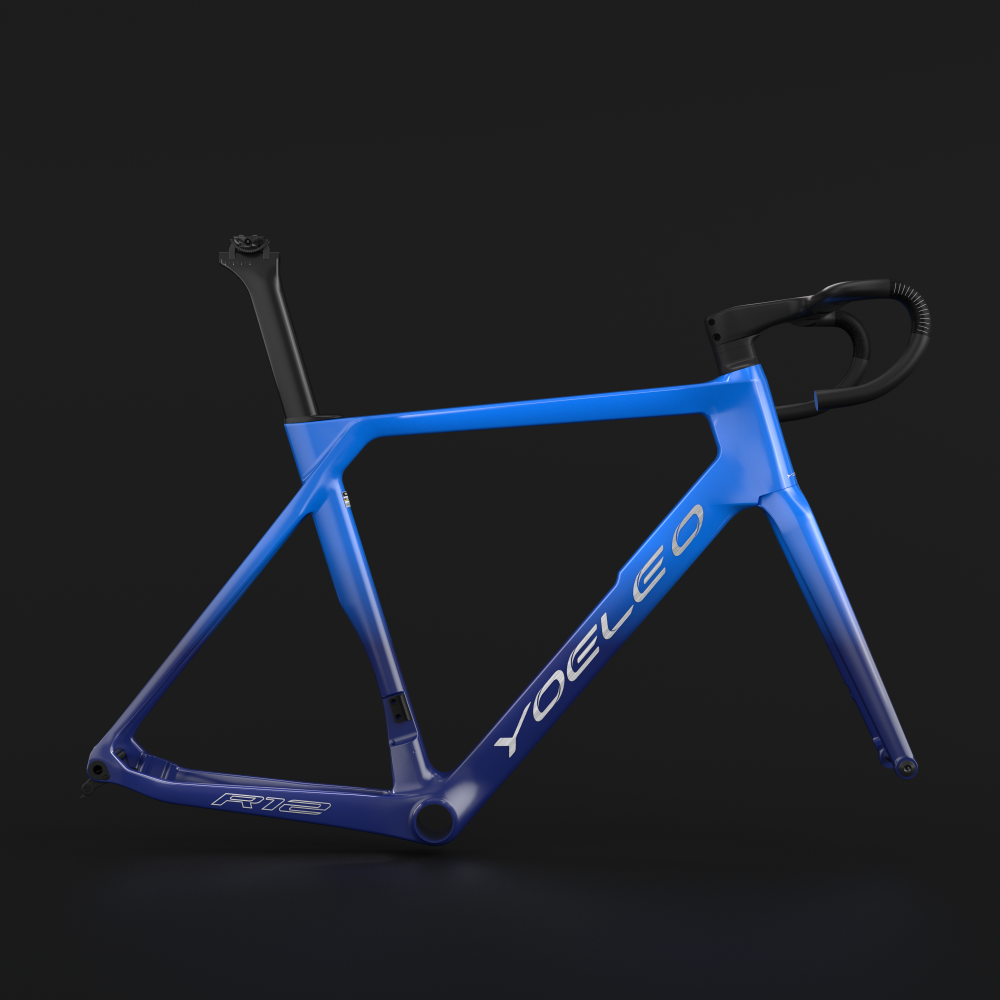R12 FRAME SET CUSTOM PAINT (FADED) - YOELEO