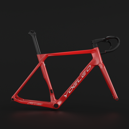 R12 FRAME SET CUSTOM PAINT (CLASSIC) - YOELEO